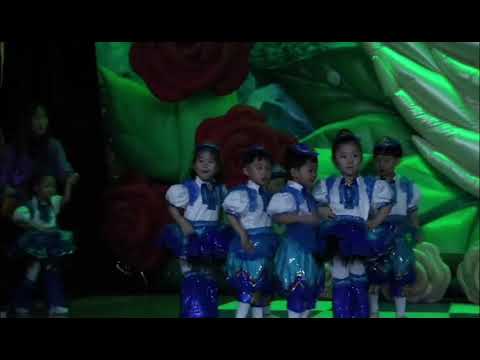 2019년 바다유치원 5세 재롱잔치(솔향기반)
