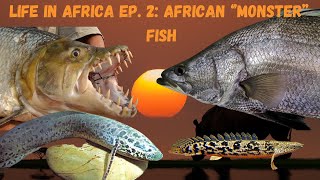 Download Lagu Life In Africa Ep. 2: Africa's Freshwater River MONSTERS Download Lagu Life In Africa Ep. 2: Africa's Freshwater River MONSTERS