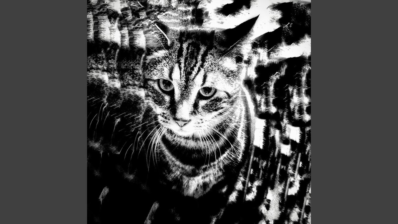 Tonton Do It di YouTube Tonton Do It di YouTube