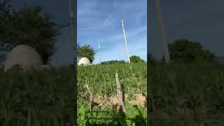 Qué bonito paisaje aquí en amate redondo Ilamacingo