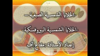 الخلايا الشمسية الصبغية-البيروفسكية-محاضرة صوتية