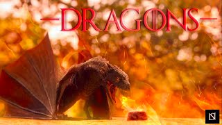 Dragons [GoT/HotD]