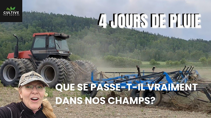 4 days of rain, what's really happening in our fields? #agriculture #organic