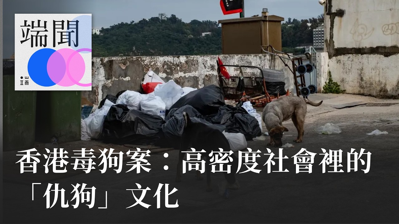 香港毒狗案：高密度社會裡的「仇狗」文化