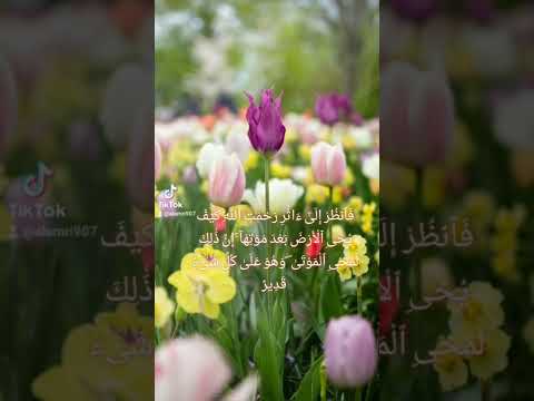 فانظر إلى آثار رحمت الله المنشاوي