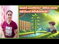 ಬಿದಿರಿನ ಮರದಿಂದ ಒಂದು ಯಶಸ್ಸಿನ ಪಾಠ ಕಲಿಯೋಣ/A Lesson from the Bamboo Tree