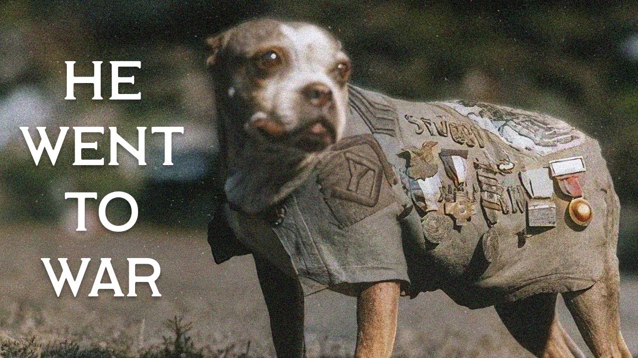 Собаки, изменившие историю