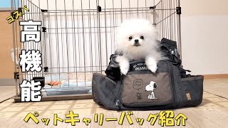 犬 猫 おすすめペットキャリーバッグ コスパ 機能 見た目で選んだバッグを紹介します お出かけ用 Bag when going out with pets