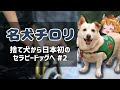 【ゆっくり解説】名犬チロリ～日本初のセラピードッグ～ #2