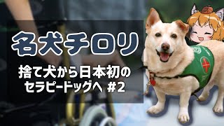 【ゆっくり解説】名犬チロリ～日本初のセラピードッグ～ #2