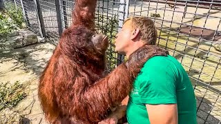 SO TOUCHING! Oleg Zubkov and Dana the orangutan can be watched forever