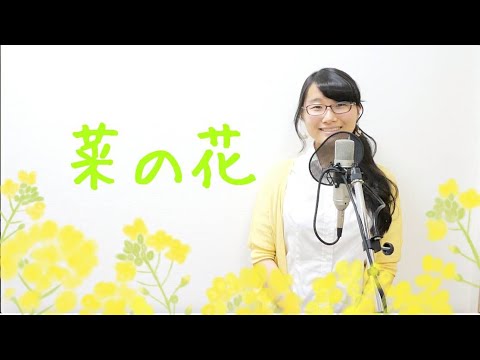 [オリジナル]菜の花 / たまちゃん,Tamachan