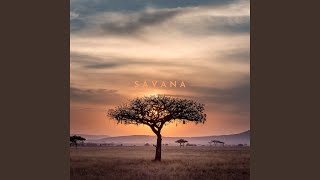 Savana