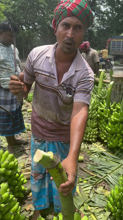 কলার কাধি চিহ্ন করছে