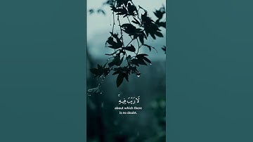 #quran ,#راحة_نفسية ,#تدبر ,#خشوع ,#سورة ,#peace ,#قرآن ،#قران_كريم