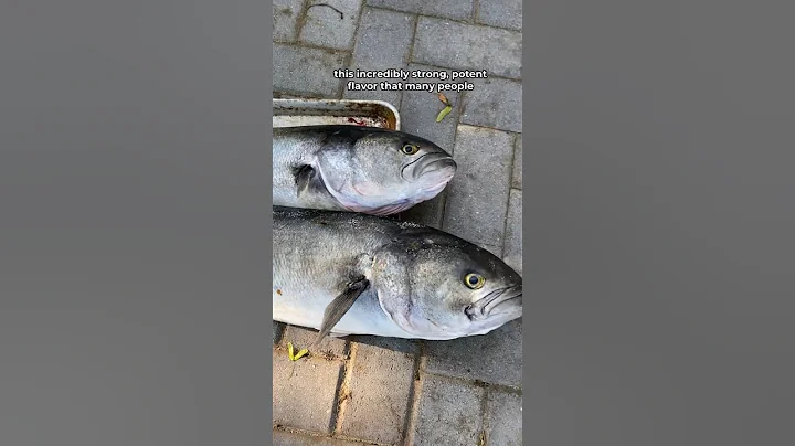 Why People HATE Eating this Fish…