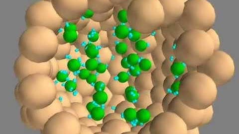 Vesicle-Synapsin clustering