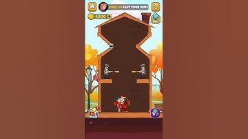 Home Pin Level 69 Gameplay Walkthrough