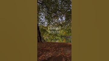 تلاوة خاشعة بصوت القارئ شريف مصطفى #quran