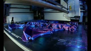 Matmire Makes Leaf Nosed Bat Flapping 3D print timelapse on Bambu X1 Carbon