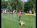 Lexa_Ludwigshafen_010511_J3.wmv Lexa_Ludwigshafen_010511_J3.wmv