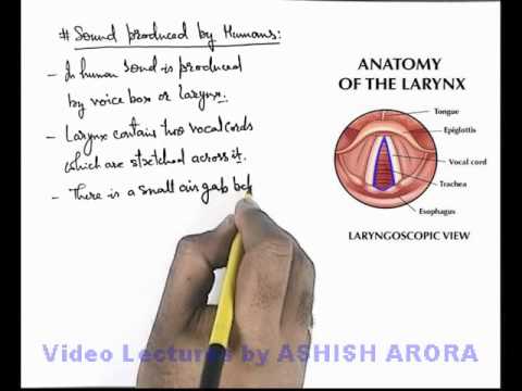 Sound Produced By Humans Js04a Youtube