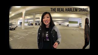 Harlem Shake (Real Edition @SharonEstee)