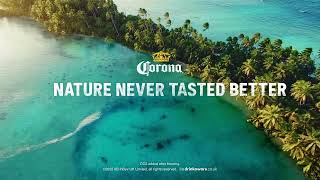 Corona Palm Trees