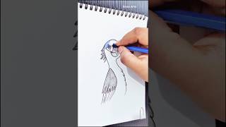 Step-by-Step Cute Bird Drawing for Beginners |How to Draw a Beautiful Blue Bird Easily |Easy Cartoon