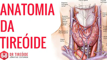 O que significa istmo na tireoide?