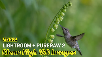 Approaching the Scene 201: Lightroom + PureRAW 2 - Clean High ISO Images