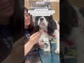 Have you ever brought your dog in to the vet for a happy visit? 😁