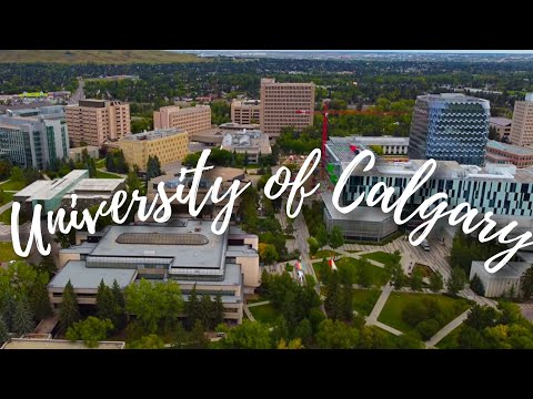 University of Calgary (UofC) | Campus Tour | 4k | Drone Footage