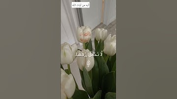 *الذين صبروا وعلى ربهم يتوكلون|سورة العنكبوت|#اسلام_صبحي