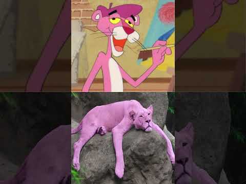 Pink Panther Real Life 😍 #shorts