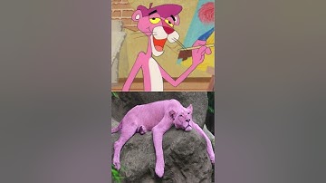 Pink Panther Real Life 😍 #shorts