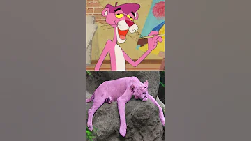 Pink Panther Real Life 😍 #shorts