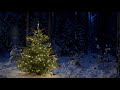 Silent Night (String Quartet) By Symphony School of Music Jamshedpur