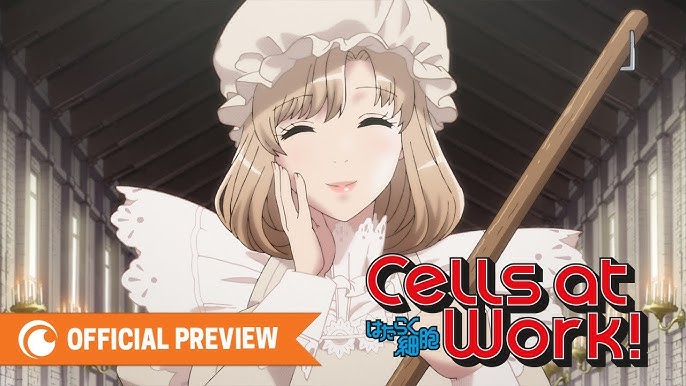 Biologia em anime: Cells at work – Reminiscências