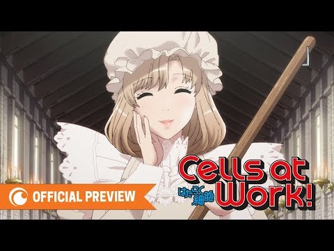 Células em seu último ciclo de trabalho! Mangá de Cells at Work