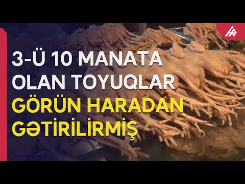 Bakıda it-pişik yemi olan toyuqlar əhaliyə satılır - APA TV