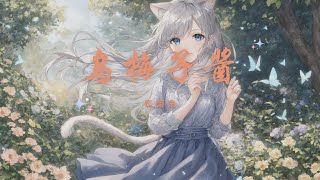 李榮浩 Li Rong Hao – 烏梅子醬 Wu Mei Zi Jiang《Chi/Pin/Eng》
