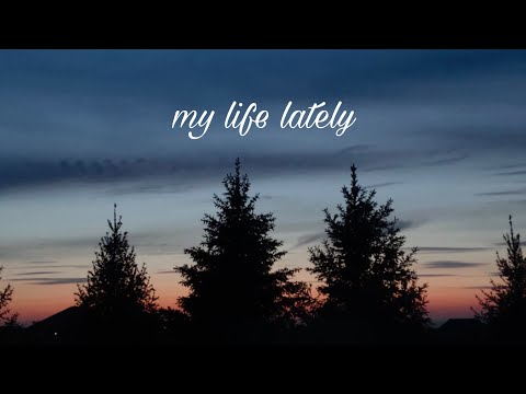 My Life Lately Birtday Prom New Laptop Album Unboxing Aikoni