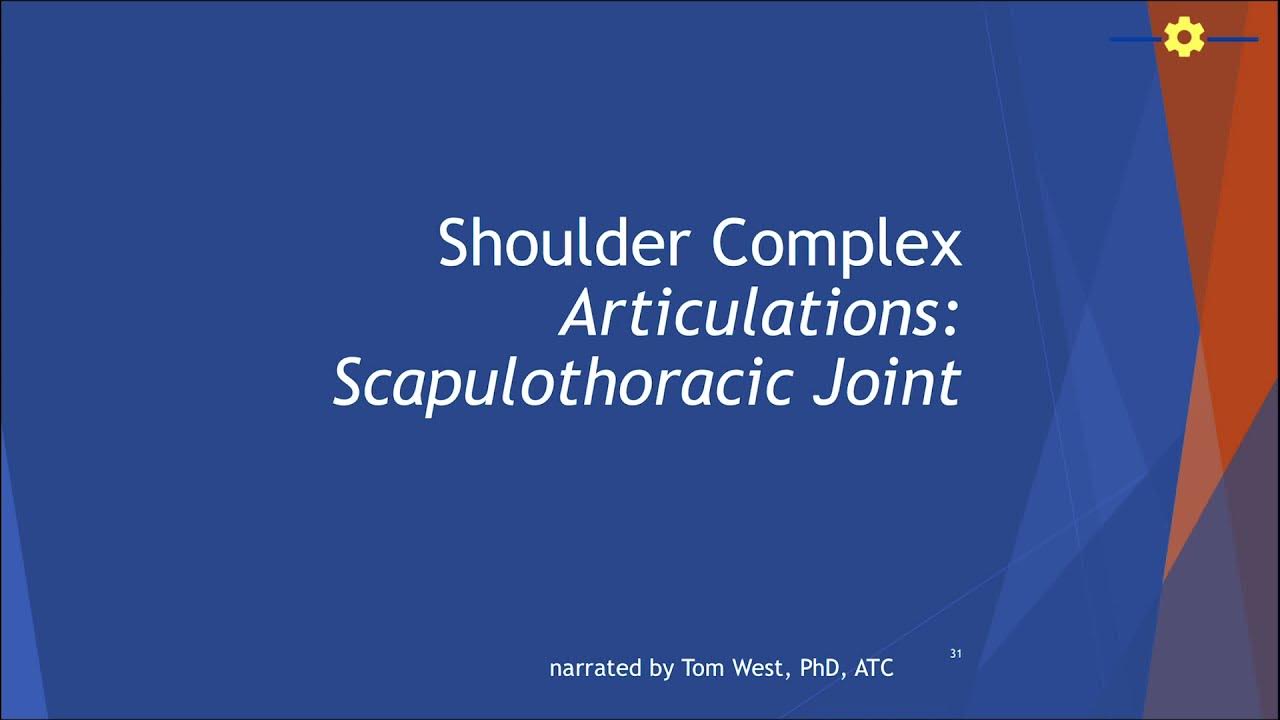 Shoulder Structure and Function Series Scapulothoracic Joint The