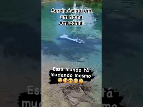 Sereia é vista