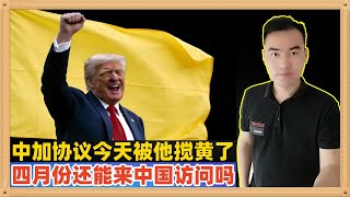 被中国等羞辱后特朗普怒了，直接搅黄了前几日中国和加拿大的协议，如此这般还有4月份对中国大陆的访问吗？