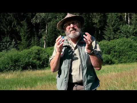 Schwarzwald-Guide Gerhard Mörk - schwäbisches Urgestein mit Unterhaltungswert