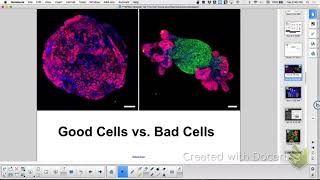 AP Bio Unit 9 Review Cell Cycle, Controls, Mitosis, Cancer
