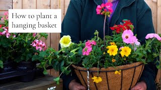 How to Plant a Summer Hanging Basket  The Pizza Method!