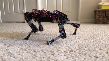 Real quadruped robot walking driven by Neural Network
